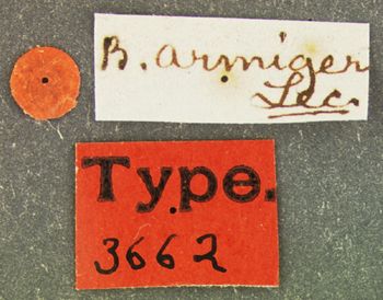Media type: image;   Entomology 3662 Aspect: labels